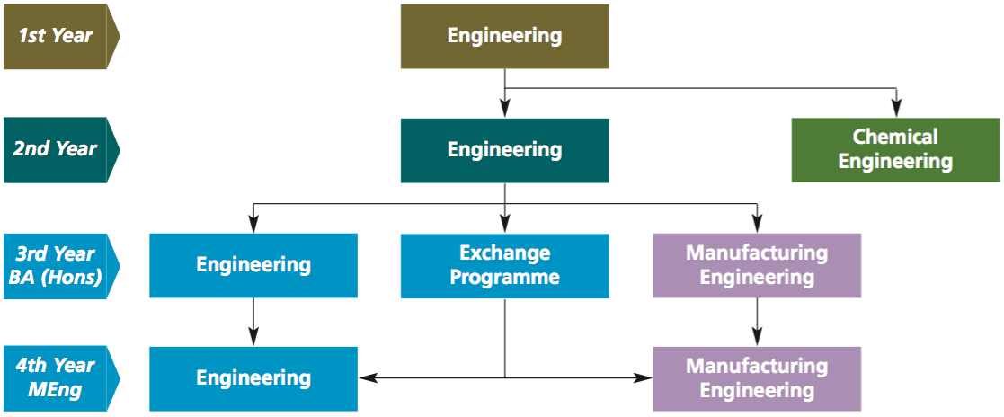 Course Structure