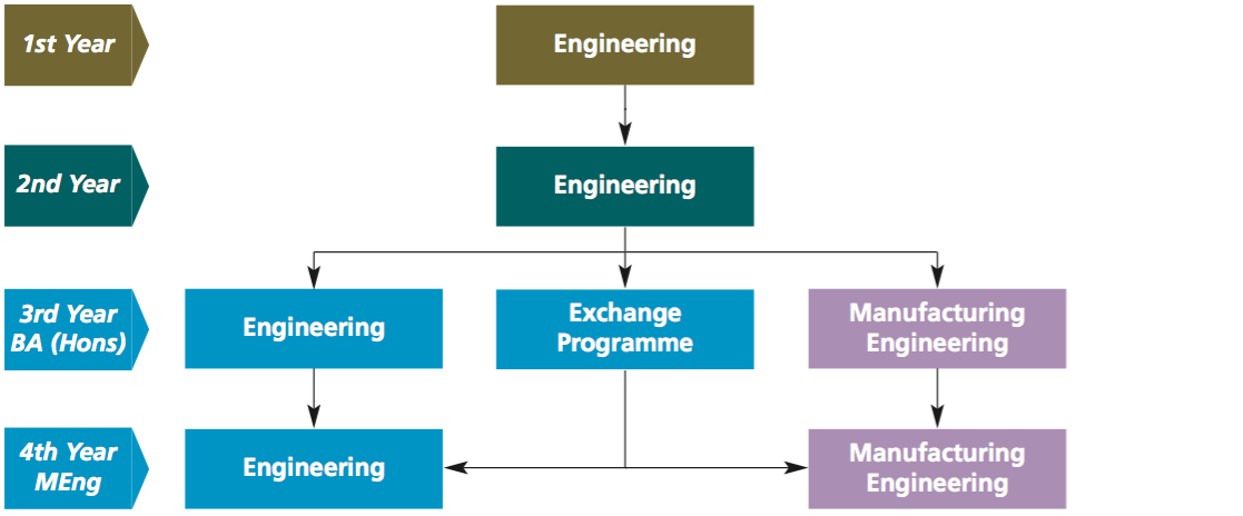 Course Structure