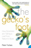 GeckosFoot.jpg